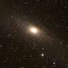 M31